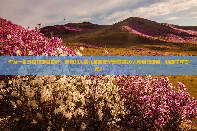 淮北到西安华清宫大型旅游团