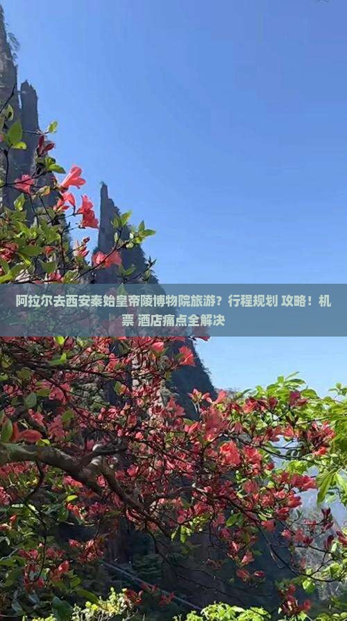 阿拉尔去西安秦始皇帝陵博物院旅游
