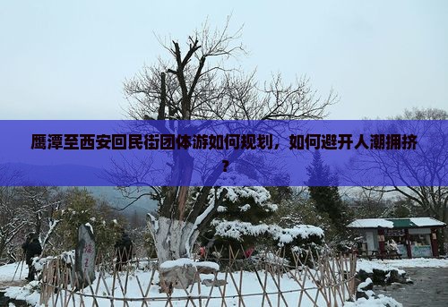 鹰潭去西安回民街团体旅游