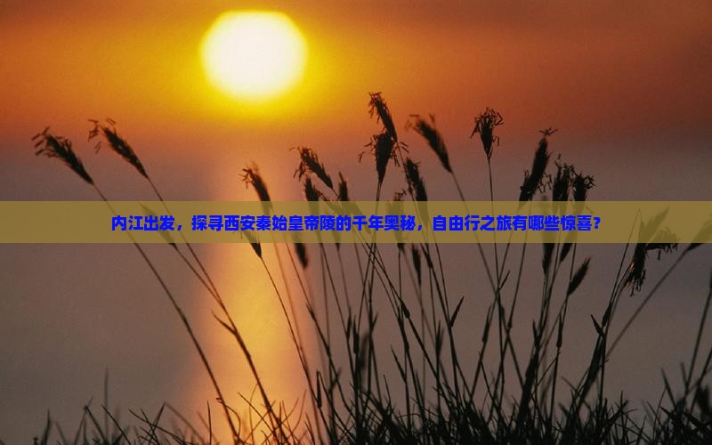 内江去西安秦始皇帝陵博物院自由行
