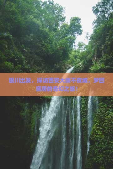 银川到西安大唐不夜城旅游