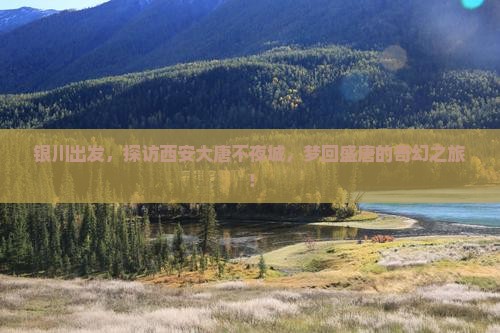 银川到西安大唐不夜城旅游