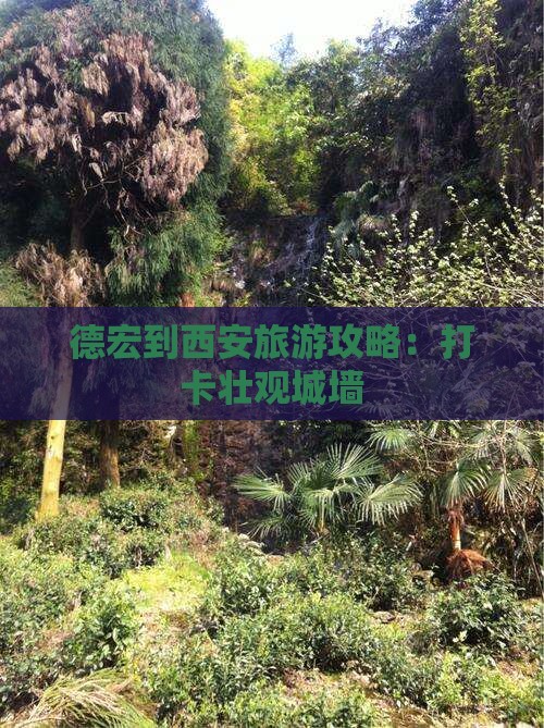 德宏去西安城墙团体旅游 德宏去西安城墙团体旅游