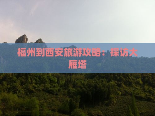 福州到西安大雁塔旅行社