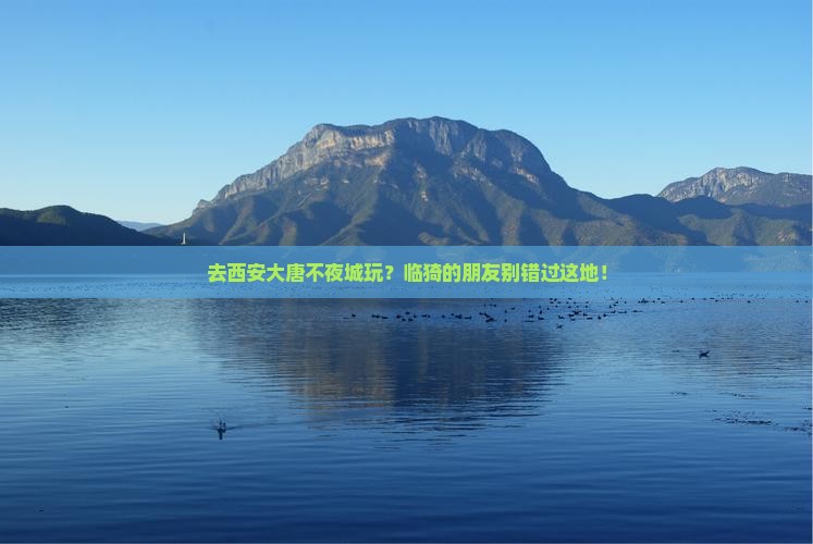临猗去西安大唐不夜城必去地