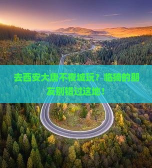 临猗去西安大唐不夜城必去地