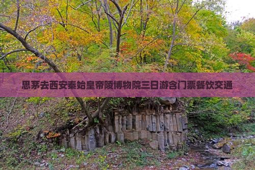 思茅去西安秦始皇帝陵博物院三日游