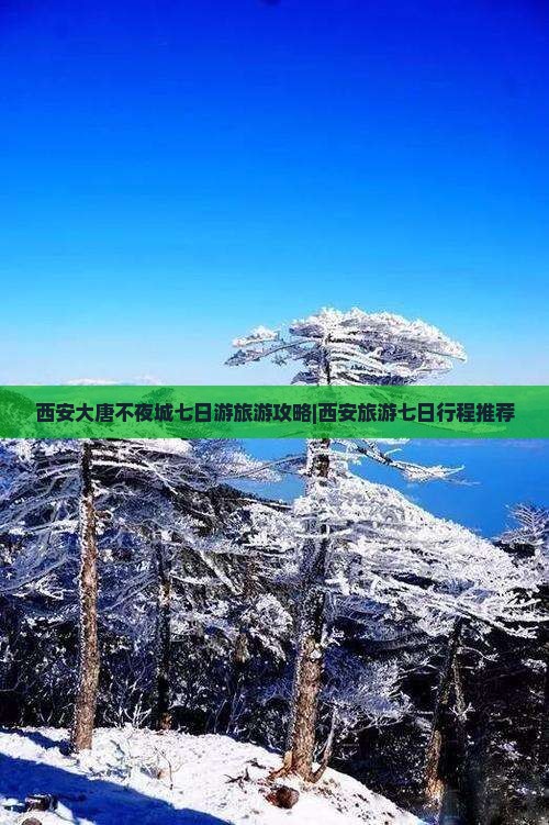 营口到西安大唐不夜城七日游