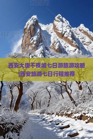 营口到西安大唐不夜城七日游