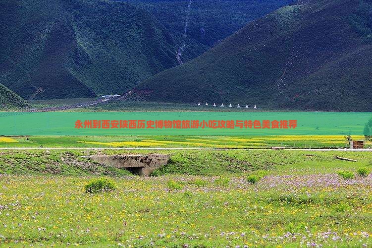 永州到西安陕西历史博物馆旅游小吃