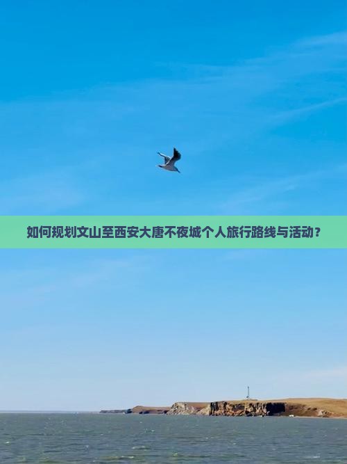 文山到西安大唐不夜城个人游