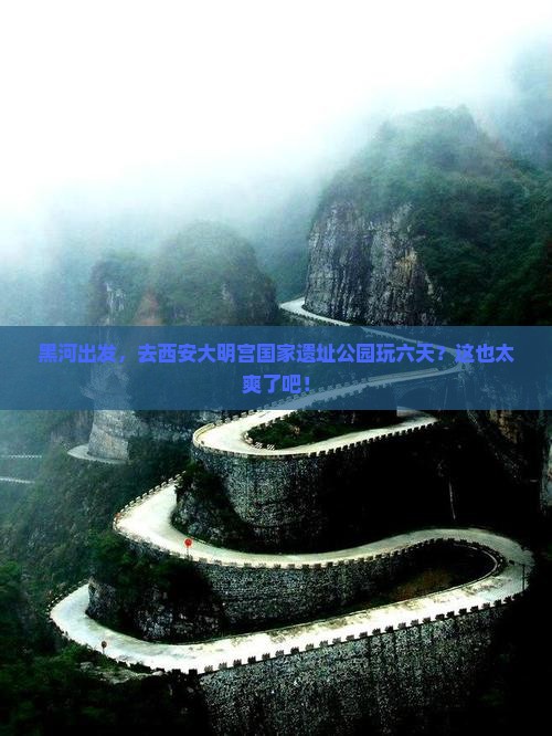 黑河去西安大明宫国家遗址公园六日游