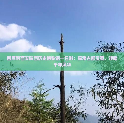 固原到西安陕西历史博物馆一日游