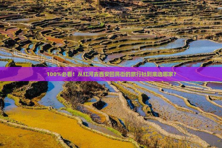 红河到西安回民街旅行社