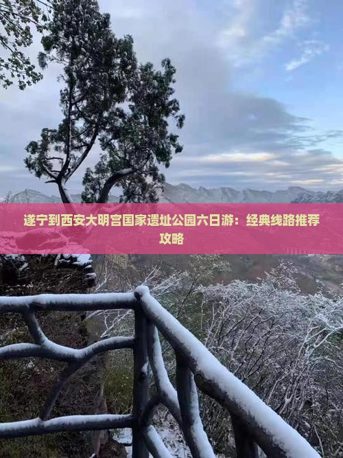 遂宁到西安大明宫国家遗址公园六日游