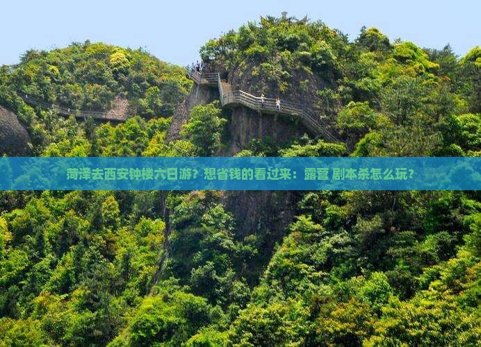 菏泽去西安钟楼六日游