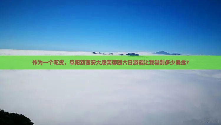 阜阳到西安大唐芙蓉园六日游