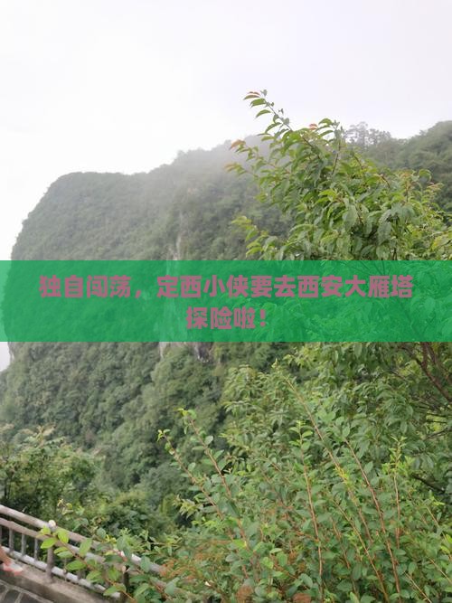 定西去西安大雁塔个人游