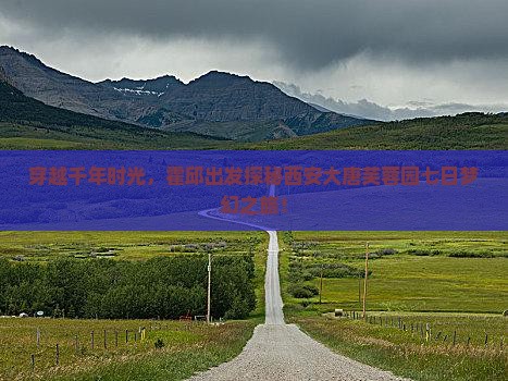 霍邱到西安大唐芙蓉园七日游