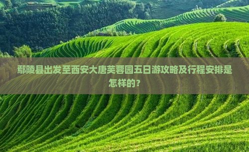 鄢陵县去西安大唐芙蓉园五日游