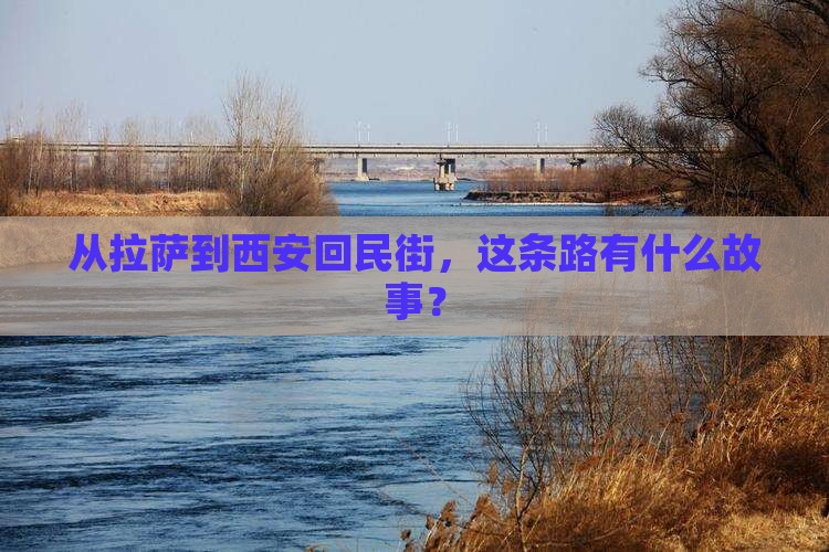 拉萨到西安回民街旅行社