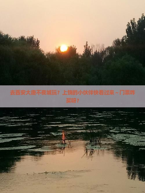 上饶去西安大唐不夜城门票