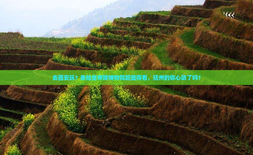 抚州去西安秦始皇帝陵博物院景点