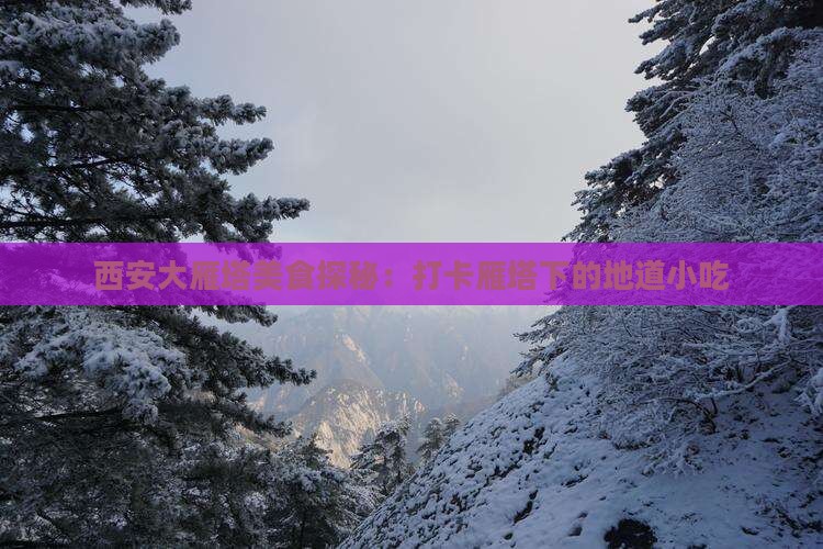 重庆去西安大雁塔旅游小吃