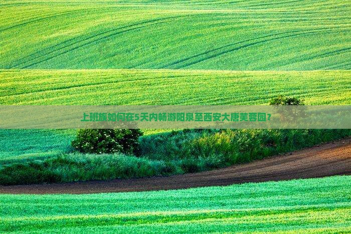 阳泉去西安大唐芙蓉园五日游