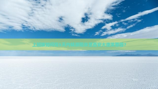 阳泉去西安大唐芙蓉园五日游