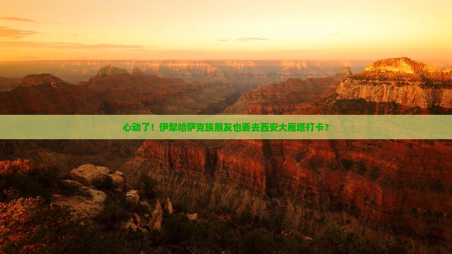 伊犁哈萨克去西安大雁塔旅行社