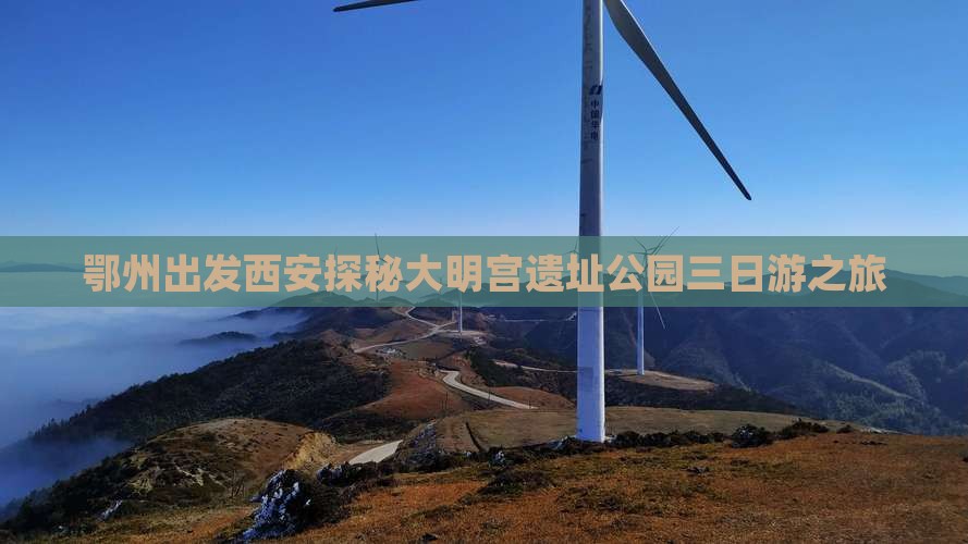 鄂州到西安大明宫国家遗址公园三日游