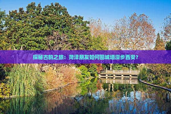 菏泽到西安城墙大型旅游团 菏泽到西安城墙大型旅游团