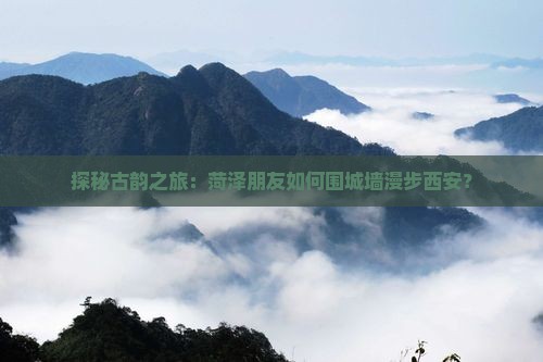 菏泽到西安城墙大型旅游团 菏泽到西安城墙大型旅游团