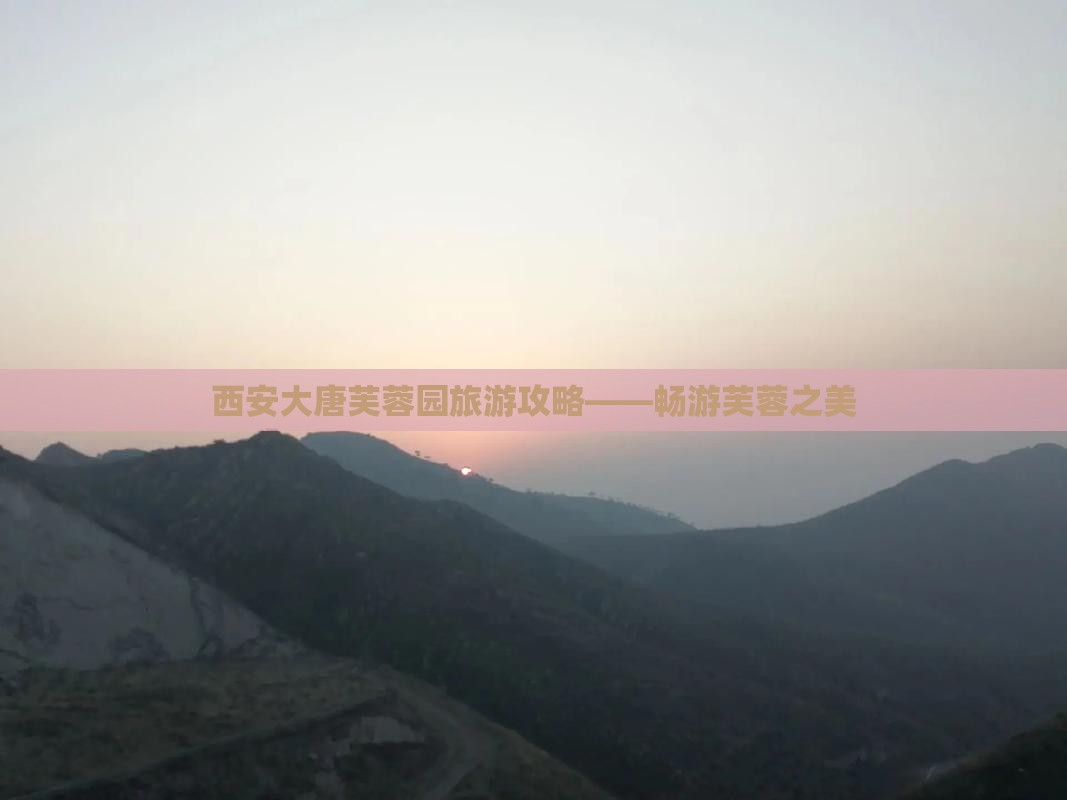 嘉兴到西安大唐芙蓉园攻略