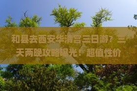 和县去西安华清宫三日游
