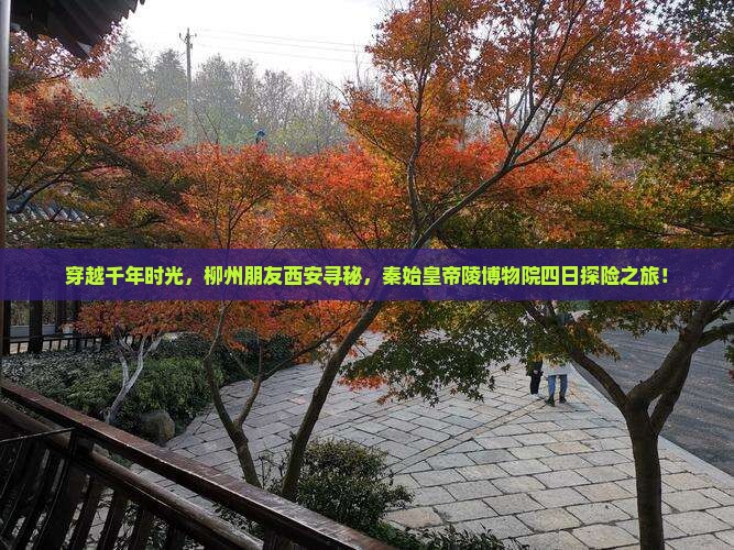 柳州去西安秦始皇帝陵博物院四日游