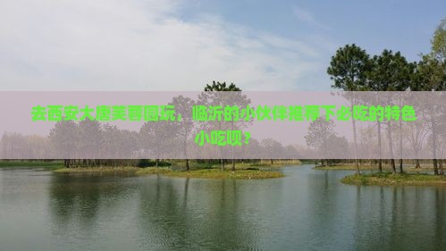 临沂去西安大唐芙蓉园旅游小吃