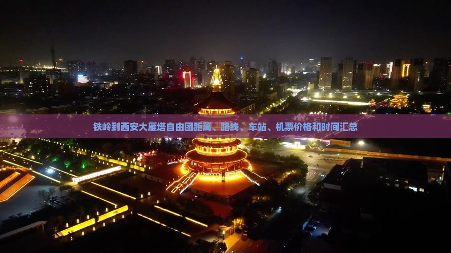 铁岭到西安大雁塔自由团