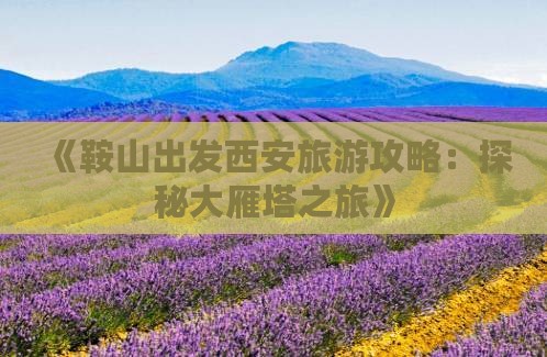 鞍山到西安大雁塔个人游
