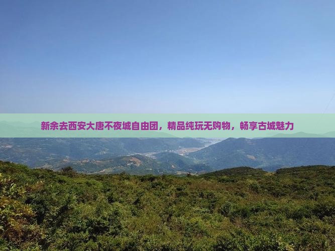 新余去西安大唐不夜城自由团