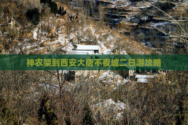 神农架去西安大唐不夜城二日游