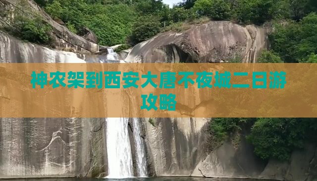 神农架去西安大唐不夜城二日游