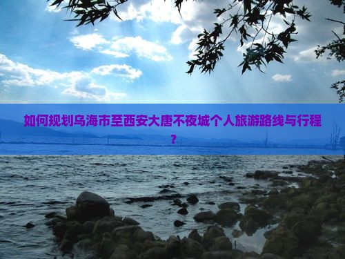 乌海市到西安大唐不夜城个人游