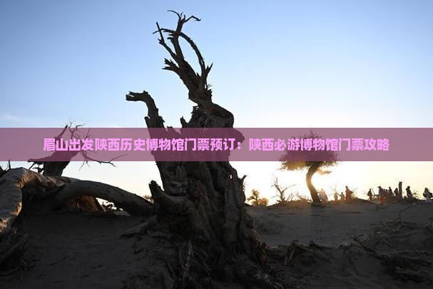 眉山到西安陕西历史博物馆门票
