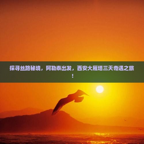 阿勒泰去西安大雁塔三日游