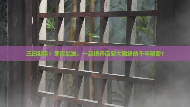 枣庄到西安大雁塔三日游