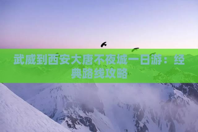 武威到西安大唐不夜城一日游