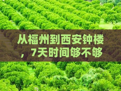 福州去西安钟楼七日游