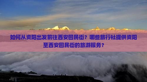 资阳到西安回民街旅行社
